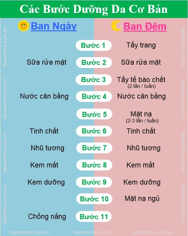 Các bước dưỡng da cơ bản