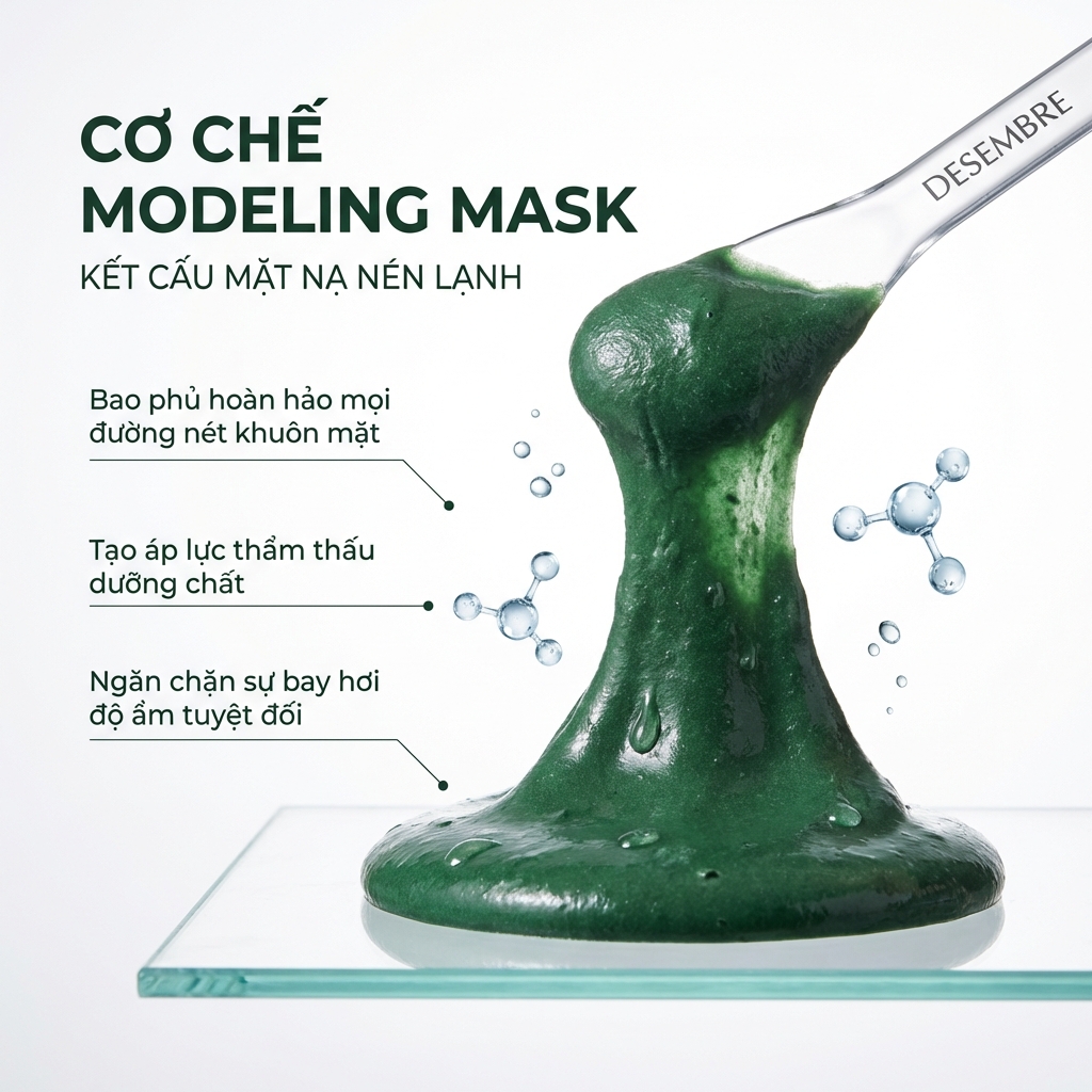 Modeling Spirulina 3